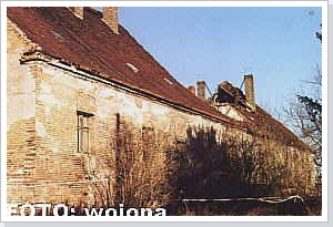schwan010
