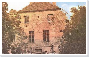 schwan03