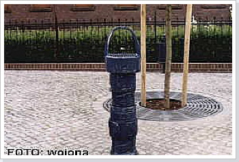 Das gusseiserne Kunstwerk konnte sogar mal Trinkwasser spenden.
