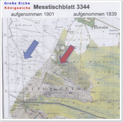 Standorte von Gro&szlig;e Eiche + K&ouml;nigseiche, (c) by Karl-Heinz Graffenberger, Pausin